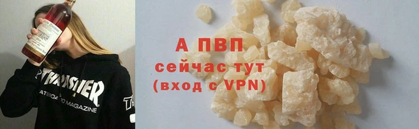 стаф Балахна