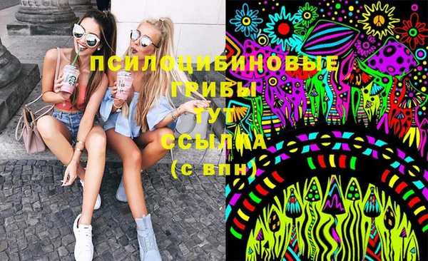 стаф Балахна