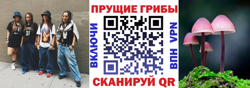 купить Северо-Курильск MEGA ссылки Псилоцибиновые грибы мухоморы